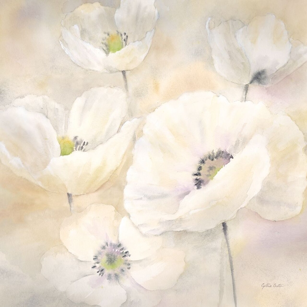 White Poppies II Poster Print by Cynthia Coulter - Item # VARPDXRB11673CC